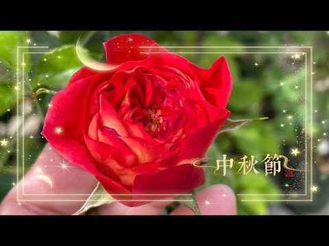 ㊗️ 中秋节快乐｜Happy Mid-Autumn Festival 2021