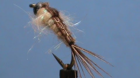 Fly Tying for Beginners Generic Mayfly Nymph with Jim Misiura