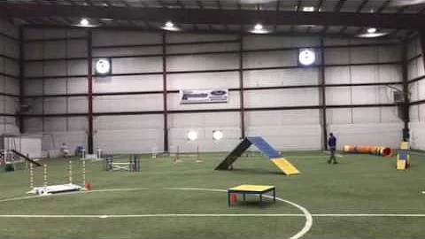 Wanda and Reece Novice Standard 6/11/2017