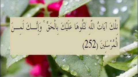 القران الكريم سورة البقرة الاية 252
