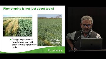 High-throughput phenotyping (HTP) Session I - Matthew Reynolds