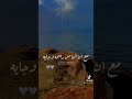 افجر حاله واتس اغنيه وردة بتمر ساعات قبل لقانا 