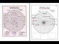 birth certificate sample usign ms-word