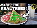 Food Theory: Can you make cookies out of your Christmas tree?