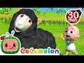 Baa Baa Black Sheep And More Nursery Rhymes | @CoComelon | Learning Videos For Kids