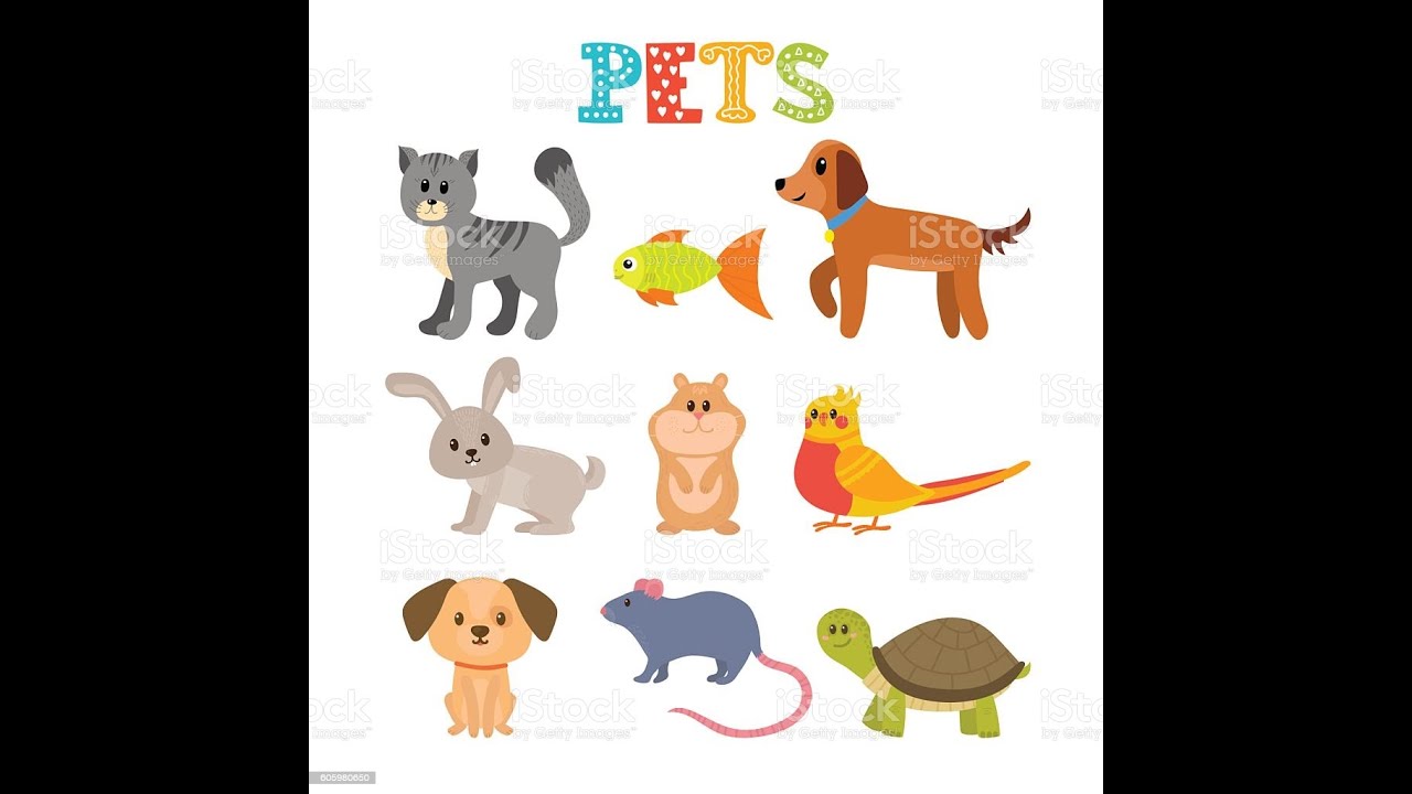 Pet pdf