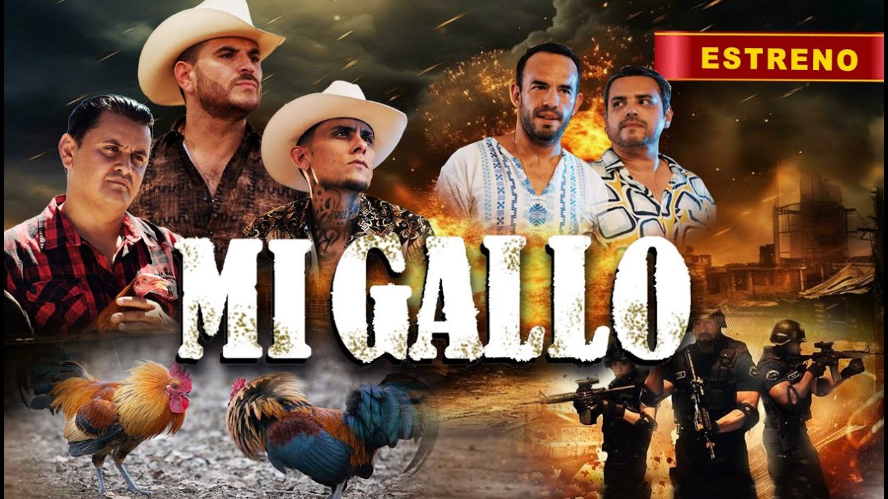MI GALLO | Pelicula Completa de Accion en Español | Estreno 2025