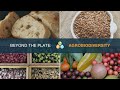 Beyond the plate agrobiodiversity