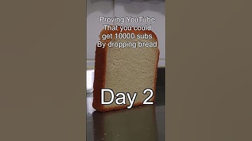 #shorts #funny #bread #shortsfunny