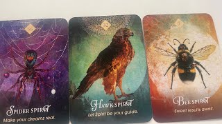 Spirit Animal & Angel Messages Pick A Card✨ For Your SOUL PATH & Next BIG Steps #pickacard