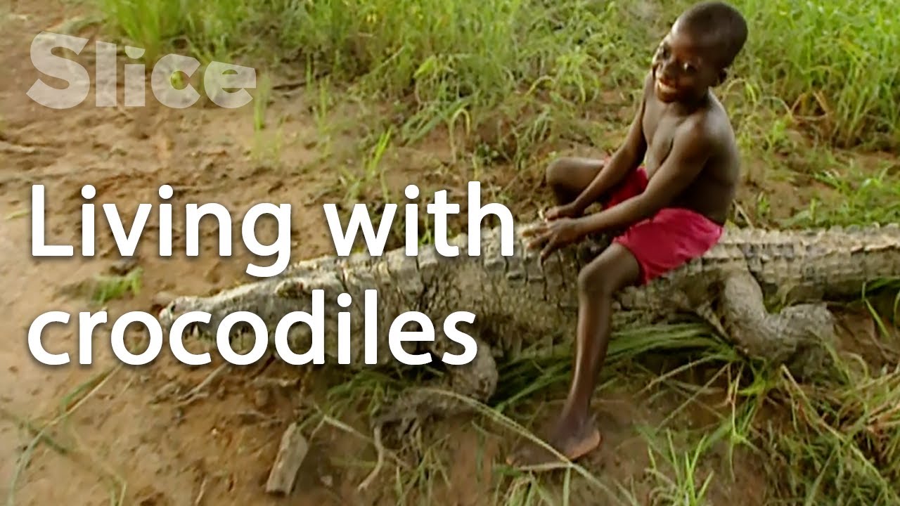 Documentary backdrop image for Fearless men relationship with the sacred reptile in Africa I Slice (2021)