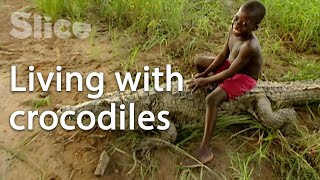 Download Lagu Fearless men relationship with the sacred reptile in Africa I SLICE MP3