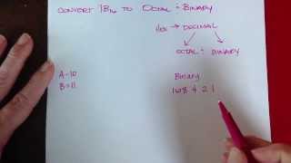 Celebrity Example of Shortcut Method for Number Conversions Profile