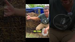 Freaky Fungi #garden #farm #shorts