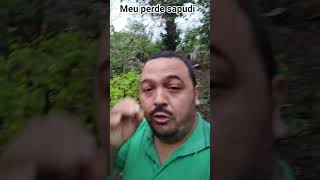 meu pé de saputi#sitio