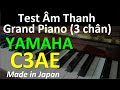 YAMAHA C3AE | Test Grand Piano Cao Cấp C3AE | tuanluupiano.com |