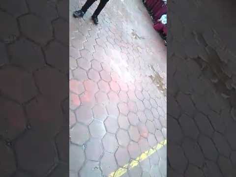 Tim ggj sdn 015 balikpapan selatan (GO GREEN) GREEN GENERATION JUNIOR