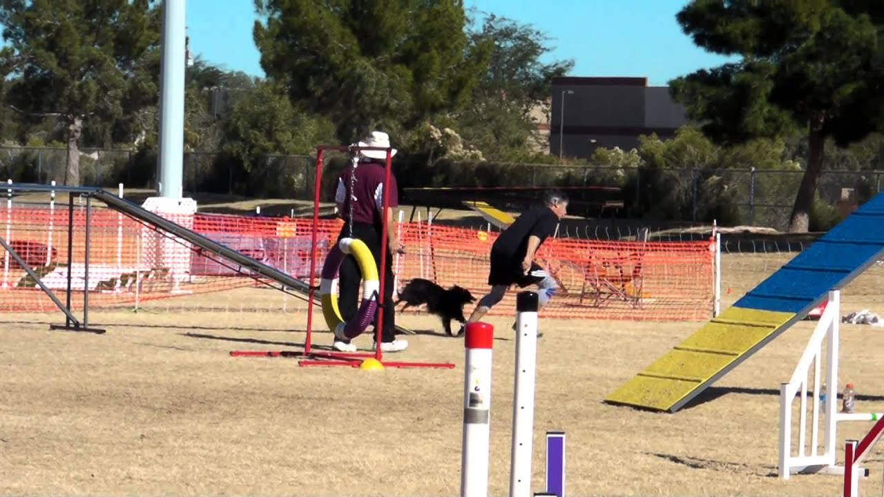 Laird GP Final Phoenix YouTube