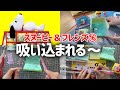 つくって あつめるスヌーピー＆フレンズ16号※地面、奥壁、左右の壁の組み立て【デアゴスティーニ】