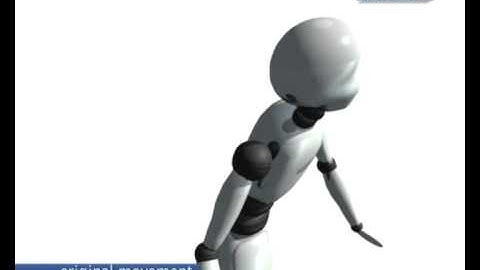 Motion editing with prioritized constraints - 2003