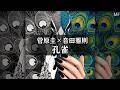孔雀 | 菅原圭 &times; 音田雅則 | Mashup