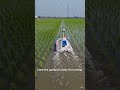 Smart farming | Double farming Method #smartfarming #agriculture #aiagriculture #viralvideo