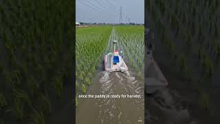 Smart farming | Double farming Method #smartfarming #agriculture #aiagriculture #viralvideo