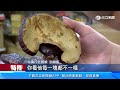 野生、養殖價差大！食用靈芝「如意 鹿角」較常見｜三立新聞網 SETN.com