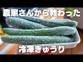 【冷凍きゅうり】これは便利！きゅうりは丸ごと冷凍保存が良い【きゅうり漬け】