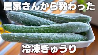【冷凍きゅうり】これは便利！きゅうりは丸ごと冷凍保存が良い【きゅうり漬け】