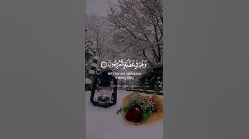 إسلام صبحي - سورة الأنبياء قرآن كريم حالات واتس اب دينية