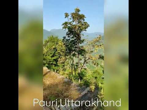 Pauri Garhwal || Uttarakhand || Travel || India