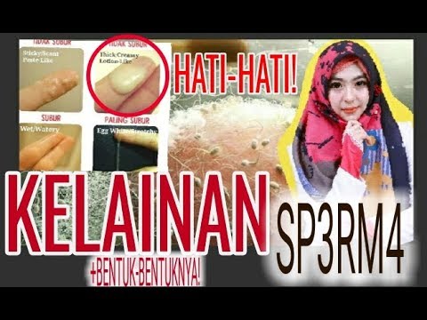 BENTUK-BENTUK SP3RM4 & CIRI-CIRI KELAINANNYA! HATI-HATI. || dr.Shindy #HEALTHINFO