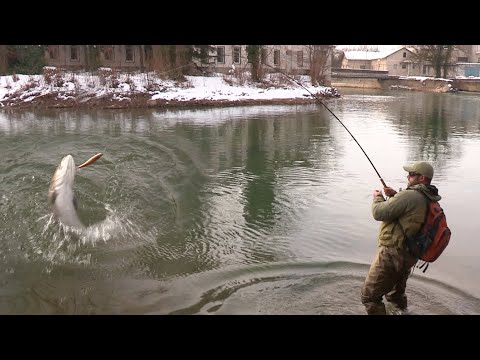 Video: Vrste Kimanja Za Zimsko Ribiško Palico