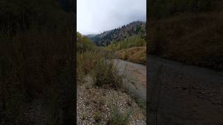Стихия Воды