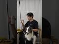 愛犬に焼き肉をあげない選択肢がない、、、＃錦糸町マルイ＃ジャパンミート＃PR