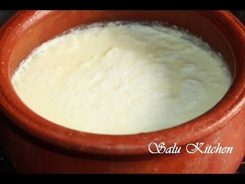 how-to-make-homemade-curd/yogurt/dahi