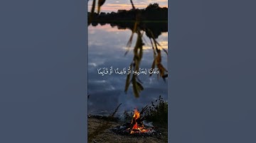 🌿 "هدوء القلب مع تلاوة قصيرة للقرآن"