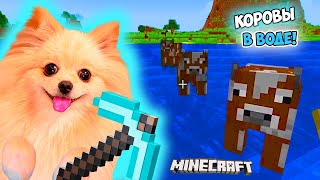 СТРОЮ ФЕРМУ В МАЙНКРАФТ ! ПЕРЕПЛЫВАЮ РЕКУ С КОРОВАМИ ! MINECRAFT