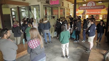 Kinecting with Orangutans: Zoo Visitors’ Empathetic Responses to Animals’ Use of Interactive ...