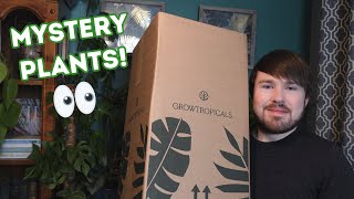 Rare Plant Rescue Box - Unbox With Me (3 Mystery, 3 Known)