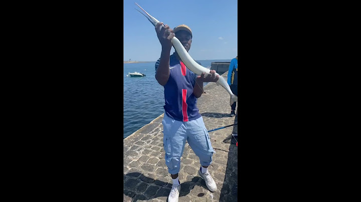 L’orphie de 1m2 3kg au bord #bretagne #fishing #pêche