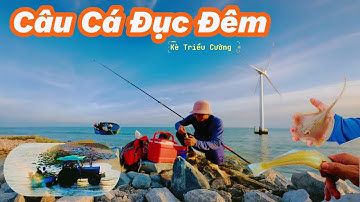 Câu Cá Bống Đục Đêm Kè Triều cường. Trải Nghiệm Bãi Câu Mới Nhiều Cảnh Đẹp!​⁠ @Longvlog86