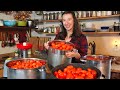 Homemade Tomato Sauce & Red Salsa | Canning Our Food for Winter
