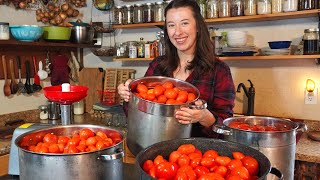 Homemade Tomato Sauce & Red Salsa | Canning Our Food for Winter