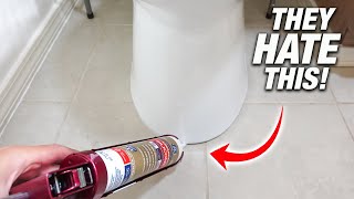 Why You NEED To Caulk The Base Of Your Toilet! PROS HATE This DIY!