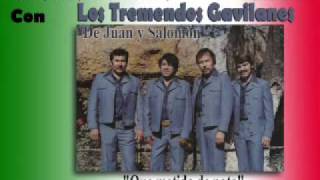 Video thumbnail of "Los Tremendos Gavilanes  - Que metida de pata  (Ranchera)"