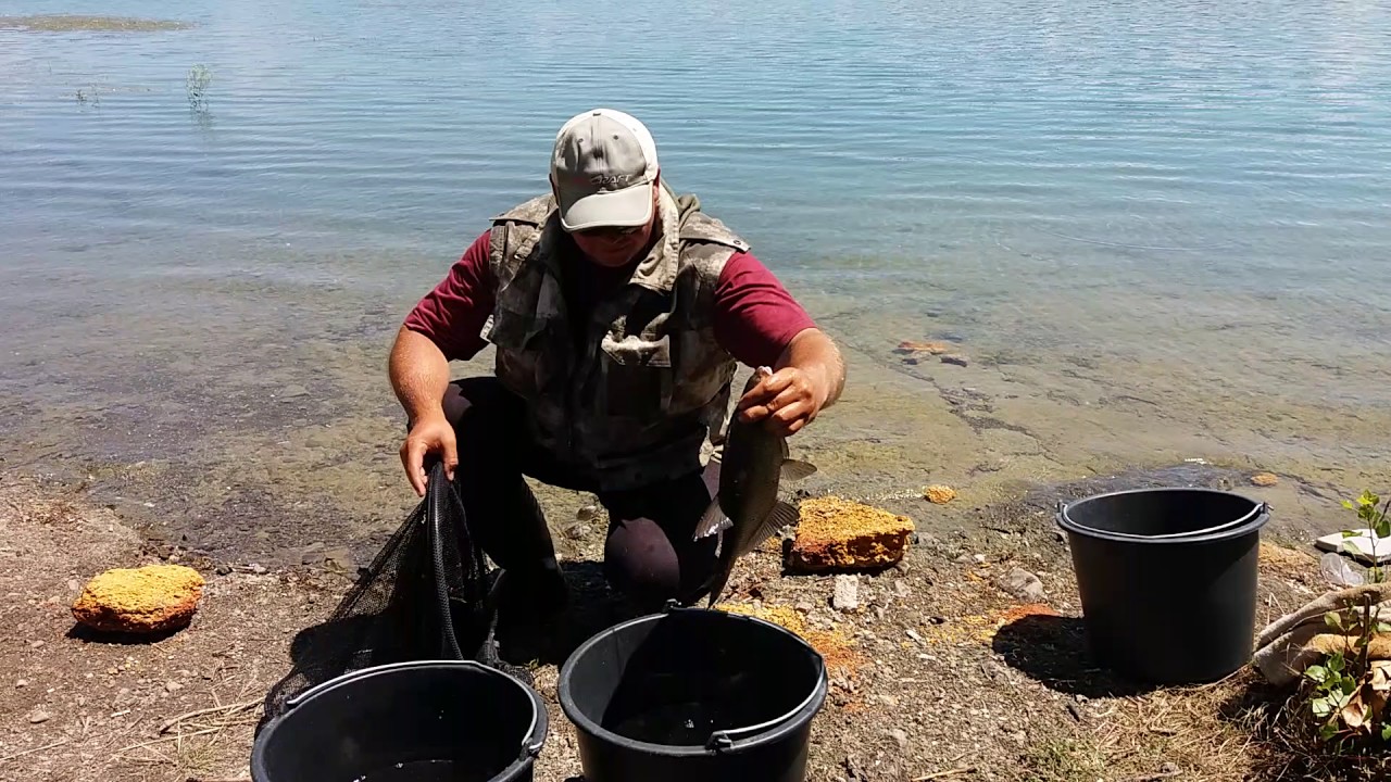 Рыбалка в симферопольском районе. Рыбалка в Крыму, Симферопольское водохранилище.. Симферопольское водохранилище рыбалка. Симферопольское вдхр рыбалка. Симферопольское водохранилище рыба.