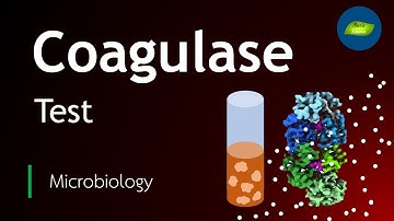 Coagulase test in microbiology | Staphylococcus aureus | Microbiology | Basic Science Series