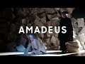 Amadeus trailer